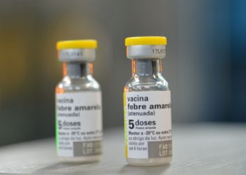 ministerio-da-saude-envia-100-mil-doses-de-vacina-contra-febre-amarela-a-sao-paulo