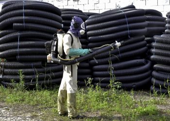 ministerio-da-saude-alerta-municipios-e-estados-sobre-aumento-de-casos-de-chikungunya-e-dengue