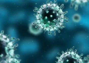 gripe-aviaria-causa-primeira-morte-em-humanos-nos-eua;-entenda-os-riscos