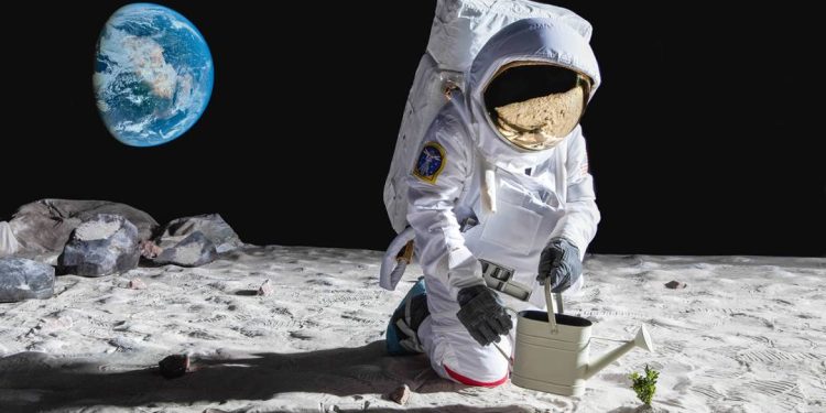 serie-brasil-no-espaco:-plantando-batatas-e-graos-de-bico-espaciais