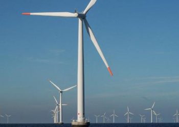 governo-lula-vai-vetar-‘jabutis’-em-projeto-de-eolicas,-diz-silveira