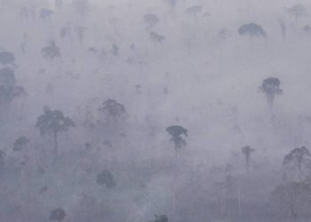 atividade-ilegal-e-um-desafio-para-a-promocao-de-saude-na-amazonia