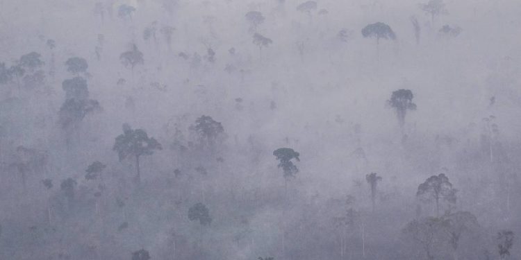 atividade-ilegal-e-um-desafio-para-a-promocao-de-saude-na-amazonia
