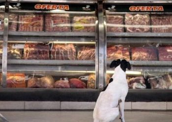 preco-de-graos-pode-recuar-com-supersafra,-mas-carne-deve-ficar-mais-cara