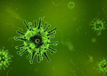 qual-doenca-infecciosa-sera-provavelmente-o-maior-problema-emergente-em-2025?