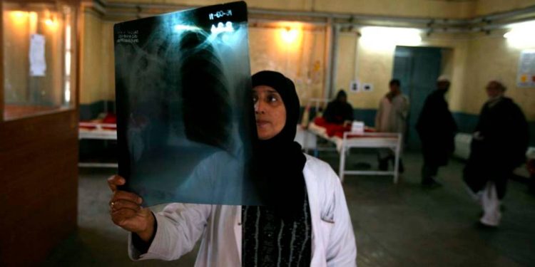 pesquisadores-desenvolvem-molecula-com-potencial-para-tratar-infeccoes-pulmonares