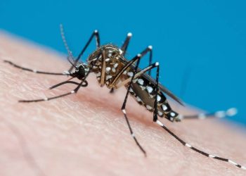 o-ano-comeca-com-uma-nova-explosao-de-casos-de-dengue-–-e-falta-de-vacina