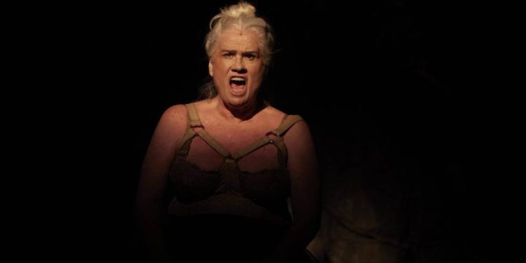teatro-no-rio:-aniversario-do-nos-do-morro,-peca-de-vera-holtz-e-mais