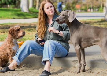 amy-adams-passa-por-maternidade-peculiar-na-afiada-satira-‘canina’