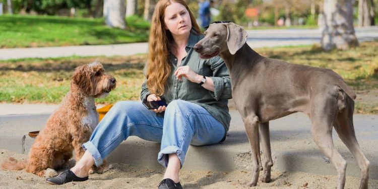 amy-adams-passa-por-maternidade-peculiar-na-afiada-satira-‘canina’