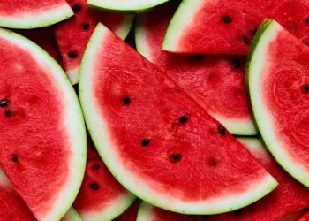 alimentos-tambem-ajudam-a-hidratar-no-calor;-veja-lista-antes-de-montar-o-prato