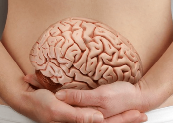 segundo-cerebro:-o-que-a-ciencia-ja-sabe-sobre-a-importancia-do-intestino-na-saude-mental