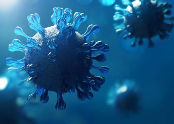 cientistas-chineses-descobrem-novo-tipo-de-coronavirus-em-morcego