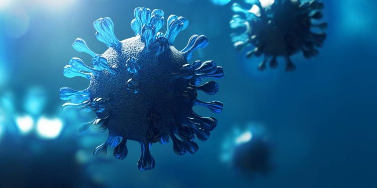cientistas-chineses-descobrem-novo-tipo-de-coronavirus-em-morcego