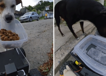 olha-o-au-food!-ele-criou-carrinho-robo-para-matar-a-fome-de-caes-nas-ruas