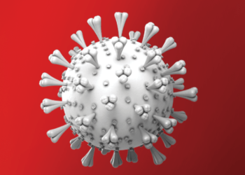 um-novo-coronavirus-e-descoberto-na-china:-ha-motivos-para-preocupacao?