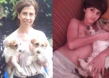 ate-os-cachorros-de-ainda-estou-aqui-ganham-premio-internacional-de-cinema