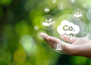 mercado-de-carbono-engatinha,-mas-ja-movimenta-setor-de-investimentos