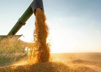 agro-vira-novo-‘pote-de-ouro’-da-balanca-comercial