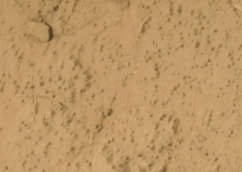 vida-em-marte?-nova-descoberta-da-nasa-pode-reforcar-tese-de-vida-no-planeta