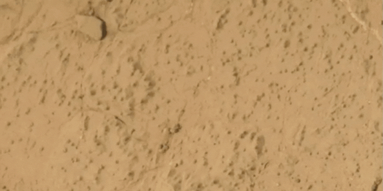 vida-em-marte?-nova-descoberta-da-nasa-pode-reforcar-tese-de-vida-no-planeta