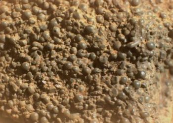 robo-da-nasa-encontra-rocha-misteriosa-em-marte