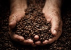 producao-de-cafe-no-brasil-vai-diminuir-em-2025,-diz-embrapa