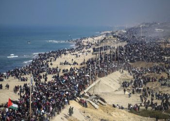 hamas-removeu-milhares-de-nomes-de-lista-de-mortos-em-gaza,-mostra-investigacao
