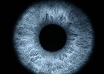 o-que-a-pupila,-a-‘menina-dos-olhos’,-revela-sobre-o-seu-estado-e-saude