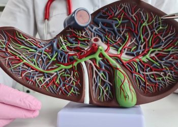 cientistas-chineses-anunciam-feito-inedito-que-revoluciona-o-transplante-de-figado