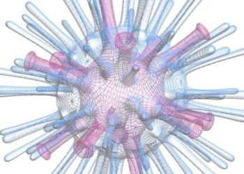 gripe-aviaria:-crianca-de-3-anos-e-primeira-vitima-fatal-de-h5n1-no-mexico