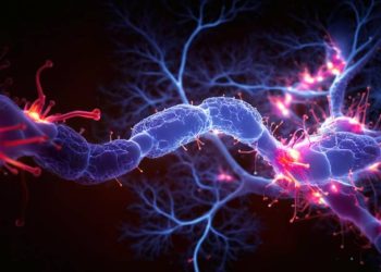 parkinson:-dispositivos-cerebrais-marcam-nova-era-no-tratamento