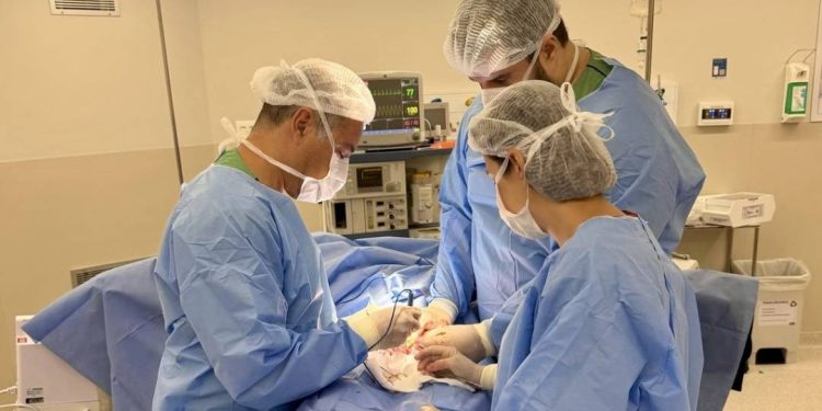 medico-brasileiro-cria-nova-tecnica-para-aumentar-a-grossura-do-penis
