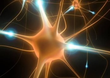 o-novo-modelo-para-estudar-a-doenca-de-parkinson
