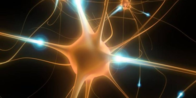 o-novo-modelo-para-estudar-a-doenca-de-parkinson