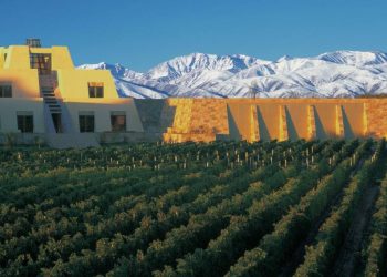 a-receita-de-uma-das-vinicolas-mais-admiradas-e-copiadas-do-mundo