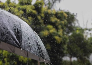 pesquisa-detecta-agrotoxicos-na-chuva-em-tres-cidades-brasileiras;-veja-quais