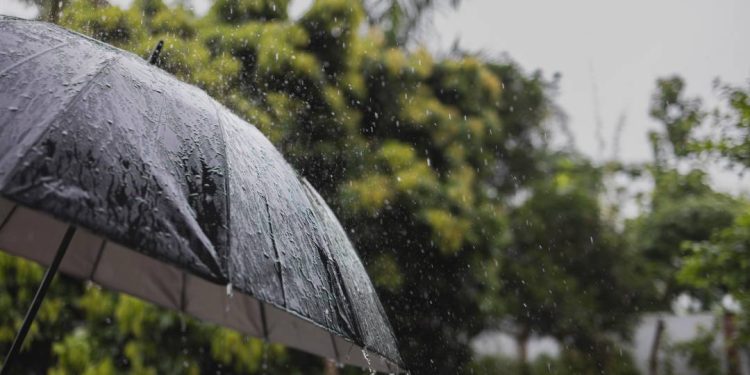 pesquisa-detecta-agrotoxicos-na-chuva-em-tres-cidades-brasileiras;-veja-quais