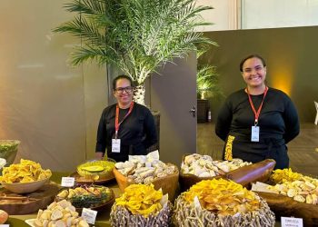 area-vip-de-gaga-tera-cardapio-com-receitas-da-familia-germanotta