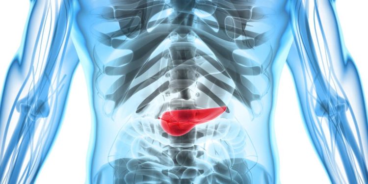 cancer-de-pancreas:-anvisa-aprova-novo-medicamento-para-doenca-que-vitimou-atriz-lucia-alves