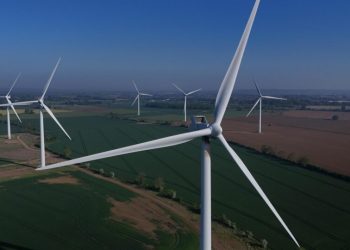 estados-democratas-processam-governo-trump-por-suspensao-de-projetos-de-energia-eolica