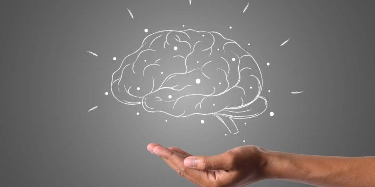 quais-sao-os-fatores-que-protegem-de-doencas-neurologicas?