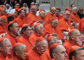 cardeais-apostam-nas-redes-sociais-as-vesperas-do-conclave-que-vai-eleger-o-proximo-papa