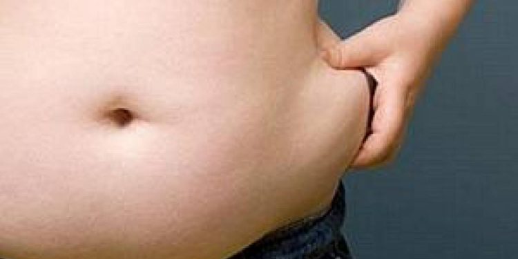 o-quarto-do-panico:-quando-a-gordura-invade-o-corpo