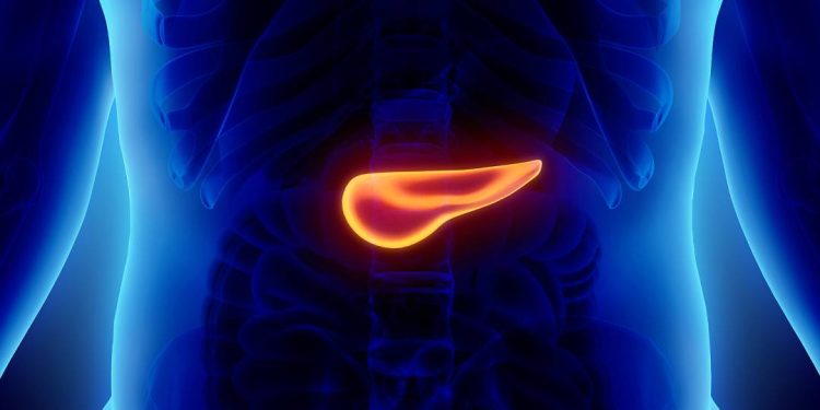 cancer-de-pancreas:-estudo-brasileiro-aponta-caminho-para-tratar-tipo-agressivo