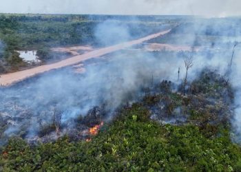 flexibilizacao-de-licenciamento-ambiental-e-a-legalizacao-da-boiada