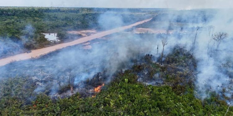 flexibilizacao-de-licenciamento-ambiental-e-a-legalizacao-da-boiada