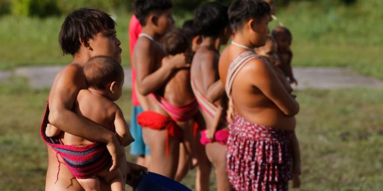 por-explosao-de-casos-de-malaria,-parlamentares-irao-a-territorio-yanomami