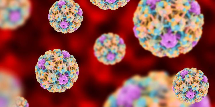 pesquisa-abre-caminho-para-vacina-terapeutica-contra-cancer-de-colo-de-utero