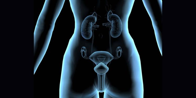 da-mama-ao-ovario:-conquistas-contra-o-cancer-que-merecem-aplausos